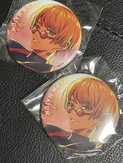 再値下げ☆パラライ 缶バッジ×2 夏準