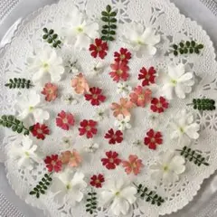 ꒰ঌふゆニャン໒꒱様専用No.147 、443