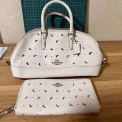 【極美品】コーチ バッグ＆財布 ２点セット 花柄パンチング ケアカード付き