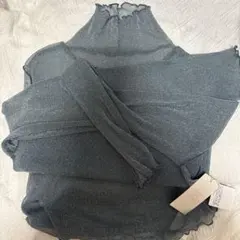 SENSE OF PLACE ラメシアーハイネックトップ