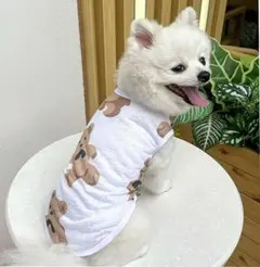 犬服ハンドメイド クマちゃんメッシュ、タンクトップ3号 - メルカリ