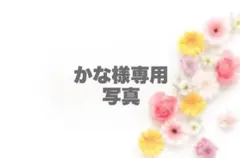 かな様専用