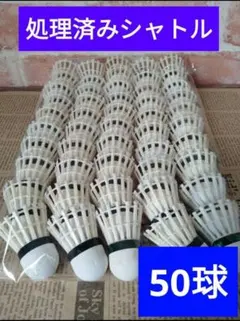 2025年最新】バドミントン シャトル 使用済の人気アイテム