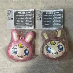 ナルミヤキャラクターズ スイングケース　ベリエちゃん　2種セット