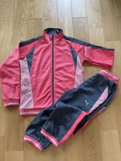 【新春セール】PUMA ジャージ ピンク/グレー 150cm