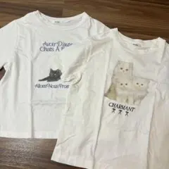NICE CLAUP ナイスクラップ　アソートコンパクトtシャツ　ねこ