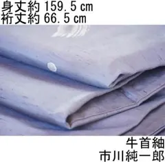 2025年最新】市川純一郎 着物の人気アイテム - メルカリ