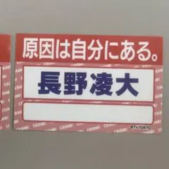 原因は自分にある。 長野凌大 ダンエビ祭 名札ステッカー