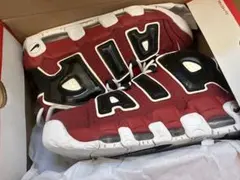 Item thumbnail for item 8d749f30-6422-41a5-8b35-1db4406ac898