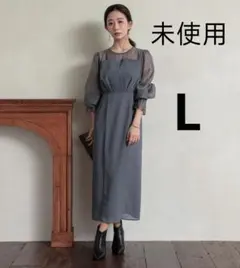 は*す様 新品未使用　パーティードレス 結婚式　ロング ビスチェ風　L