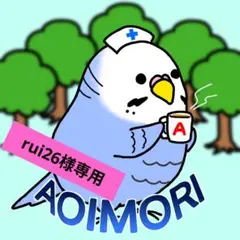 rui26様 リクエスト 2点 まとめ商品