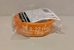 yuyushiba様　専用　ラバーバンド