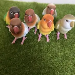 手のりインコ コレクション ボタンインコ フィギュア