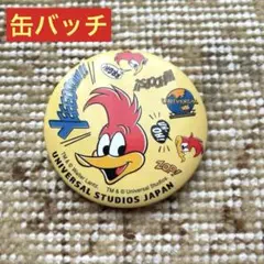 ウッディ・ウッドペッカー 缶バッジ 2025年最新】ウッドペッカー 缶バッジの人気アイテム - メルカリ
