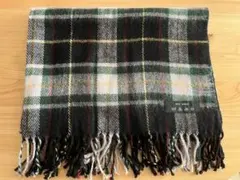 Item thumbnail for item 76df1c29-6f16-48de-bb31-fb1878dc0261