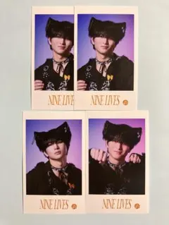 Item thumbnail for item a824cdee-e79d-4317-a837-71209d4dd01c