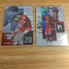 バレーボール 日本代表 カード 2枚セット