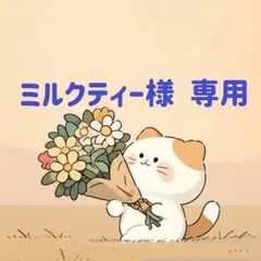 ミルクティー様　専用(12/5迄)