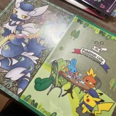 ポケモン⭐︎クリアファイル14枚セット