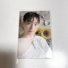 SEVENTEEN ディノ メンシプ トレカ