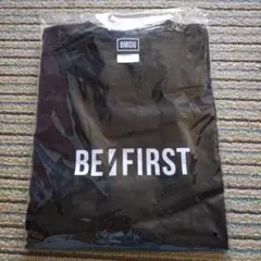 Item thumbnail for item f6d031c9-94b7-4f1f-8702-fcbbb6ff47e2