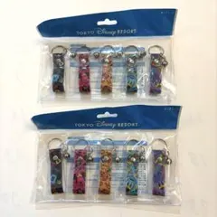 東京ディズニーリゾート キーチェーン 5個✖️2セット
