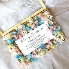 おぺ様専用　50名様