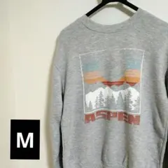 ★アメリカ古着★ASPEN プリント クルーネック トレーナー グレータグ無し