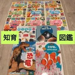 【よっちゃん様】知育、図鑑まとめ売り13冊　恐竜図鑑LIVE　複数購入割引