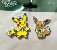 限定品】ピカチュウ・イーブイ／ポケパーク カントー ピンズセット