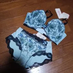 トリンプ　D70M　水色花柄刺繍ブラジャーショーツセット