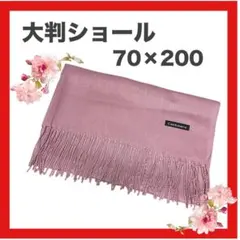 Item thumbnail for item f5163169-1112-479d-b280-e926e7119177