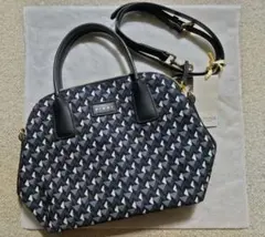 ROBERTA PIERI ロベルタピエリ 2wayハンドバッグショルダーバッグ