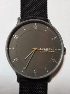【ほぼ未使用・稼働品】SKAGEN スカーゲン 腕時計 RIIS ガンメタル
