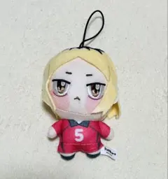 ハイキュー!! 孤爪研磨 ちょぴぬい