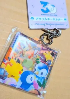ポケセン限定　30周年　シンオウ地方アクリルキーホルダーのサムネイル
