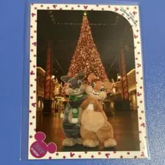 ディズニー TDL スペシャルフォト クリスマス 2009 ミスバニー とんすけ