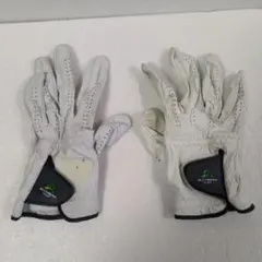 Item thumbnail for item 652aed89-51ca-41bb-81cd-ec566ff3c237