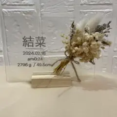 命名書 名前入り おしゃれ 出産祝い 誕生日 プレゼント ニューボンフォト