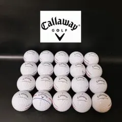 Item thumbnail for item 037a439a-5f6c-4ff6-a22a-5a56abf3128c