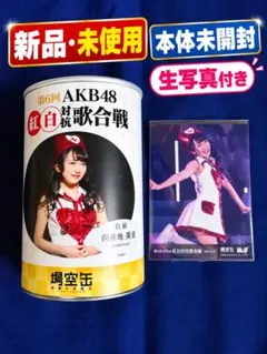 向井地美音キーホルダー 2026年最新】向井地美音の人気アイテム - メルカリ