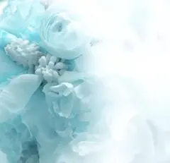 yuno さま　専用ページ