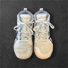 asics バスケットボールシューズ 22.0cm