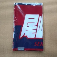 クリープハイプ 尾崎世界観 イタタオル4 - メルカリ