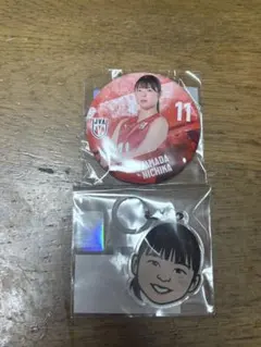 バレーボール女子日本代表 缶バッジ アクリルキーホルダー 2点セット
