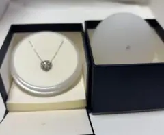 Item thumbnail for item 30154e41-1b6f-4964-a3fa-9cac2cb2dae5