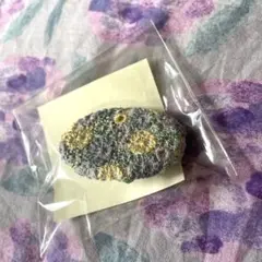 Item thumbnail for item d3c4e79d-111f-4974-a211-c32d9114d347