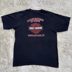00年 Harley-Davidson ヴィンテージTシャツ XL USA製