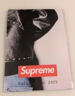 supreme シュプリーム　カレンダー2001 希少　レア supreme シュプリーム カレンダー2001 希少 レア - メルカリ
