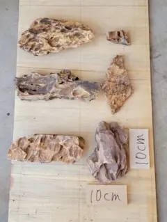 ADA 黄虎石 気孔石 松皮石 親石 良型 その他 セット - メルカリ